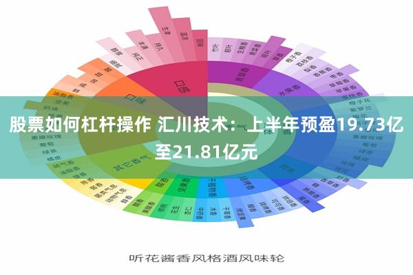 股票如何杠杆操作 汇川技术：上半年预盈19.73亿至21.81亿元