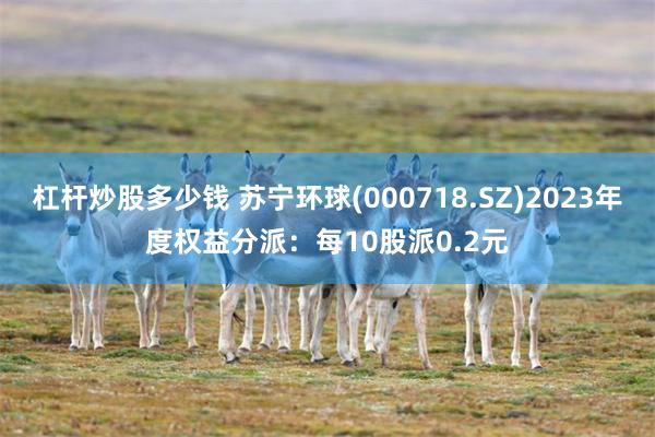 杠杆炒股多少钱 苏宁环球(000718.SZ)2023年度权益分派：每10股派0.2元