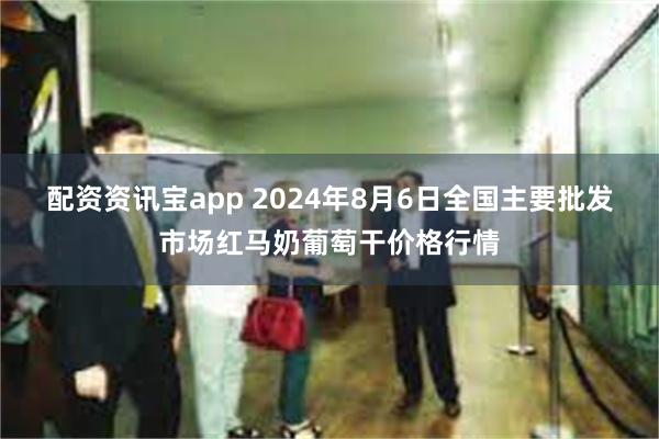 配资资讯宝app 2024年8月6日全国主要批发市场红马奶葡萄干价格行情