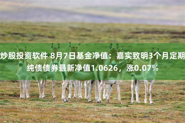 炒股投资软件 8月7日基金净值：嘉实致明3个月定期纯债债券最新净值1.0626，涨0.07%