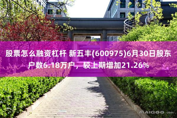 股票怎么融资杠杆 新五丰(600975)6月30日股东户数6.18万户，较上期增加21.26%