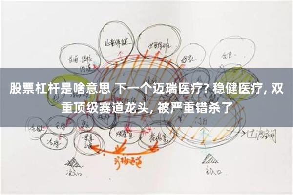 股票杠杆是啥意思 下一个迈瑞医疗? 稳健医疗, 双重顶级赛道龙头, 被严重错杀了