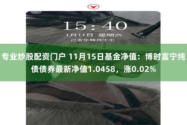 专业炒股配资门户 11月15日基金净值：博时富宁纯债债券最新净值1.0458，涨0.02%