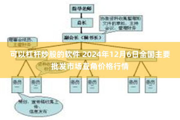 可以杠杆炒股的软件 2024年12月6日全国主要批发市场豆角价格行情