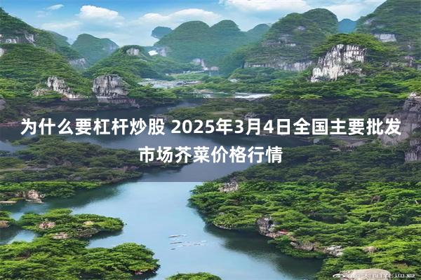 为什么要杠杆炒股 2025年3月4日全国主要批发市场芥菜价格行情