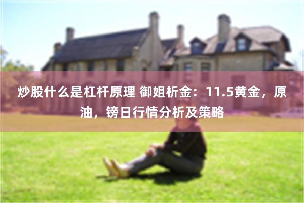 炒股什么是杠杆原理 御姐析金：11.5黄金，原油，镑日行情分析及策略