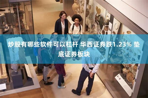 炒股有哪些软件可以杠杆 华西证券跌1.23% 垫底证券板块
